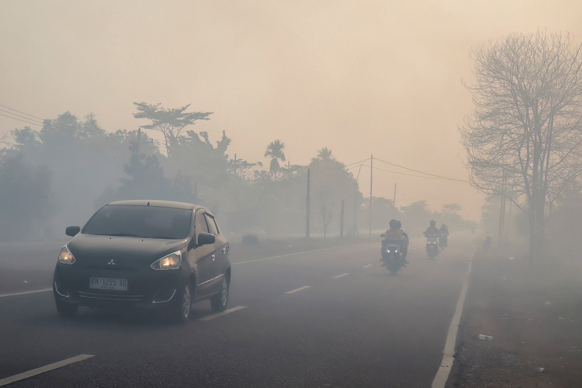 DPR Mendesak Pemerintah Tetapkan Status KLB di Daerah Terdampak Asap Karhutla