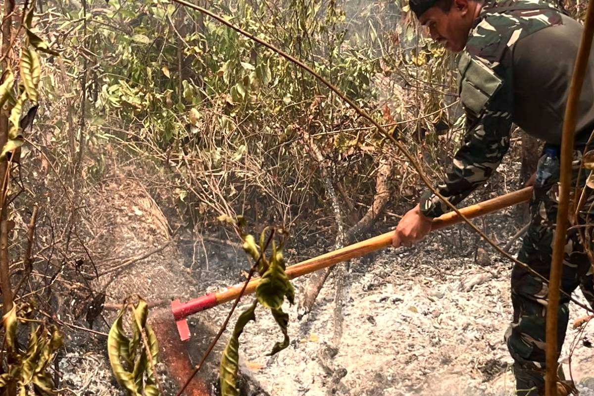 Kebakaran Hutan di Taman Nasional Way Kambas Menghanguskan 600 Hektar