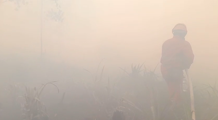 Penanganan Kebakaran Hutan: 196 Tersangka Ditetapkan, Korporasi Belum Terlibat