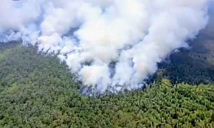 Kementerian Lingkungan Hidup Menyegel 57 Perusahaan Penyebab Kebakaran Hutan