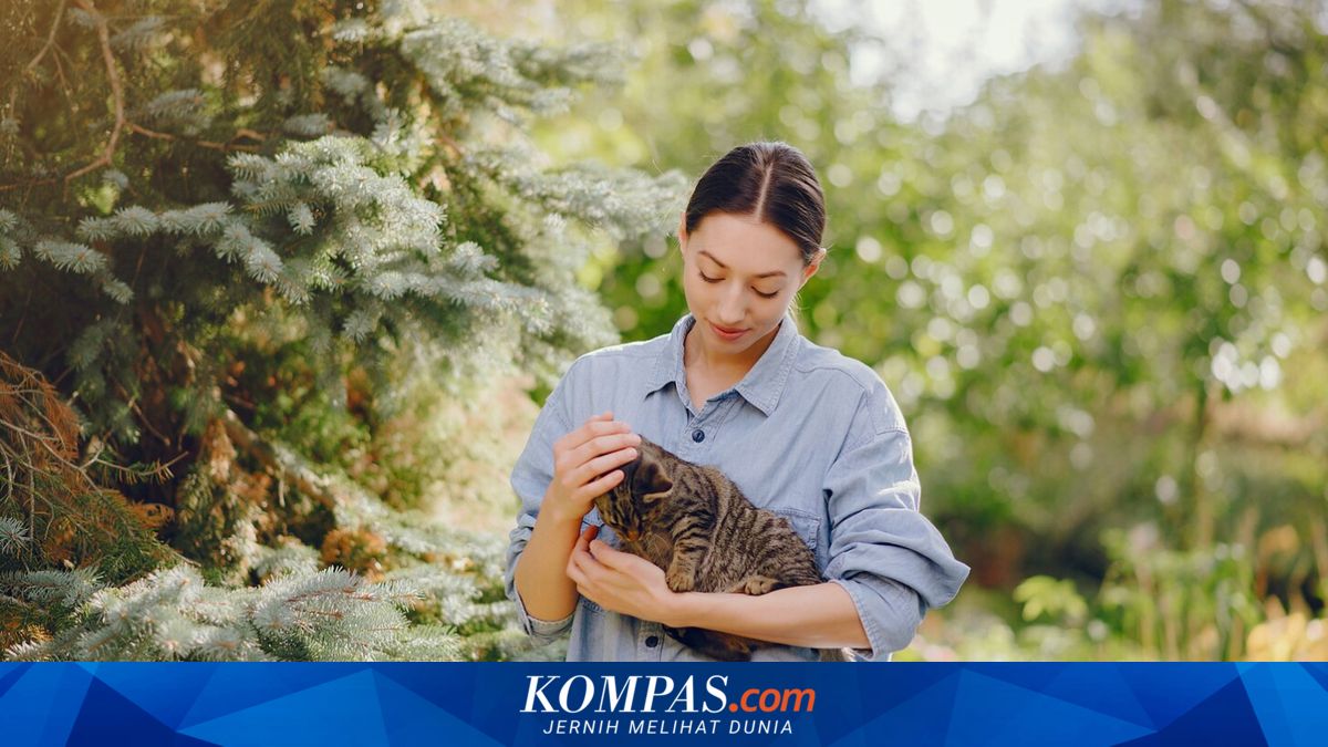 Tiga Zodiak yang Diprediksi Akan Meraih Harapan Baru pada 22 Juli, Termasuk Aries