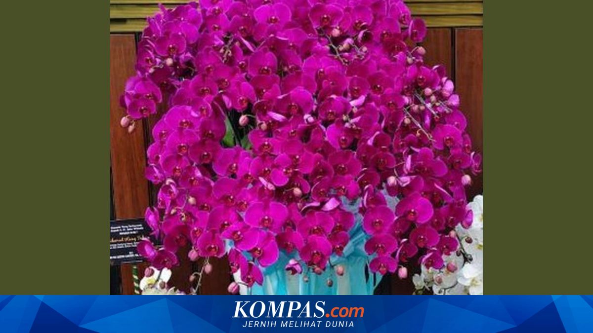 Makna Simbolis Anggrek Ungu dari Prabowo untuk Jokowi