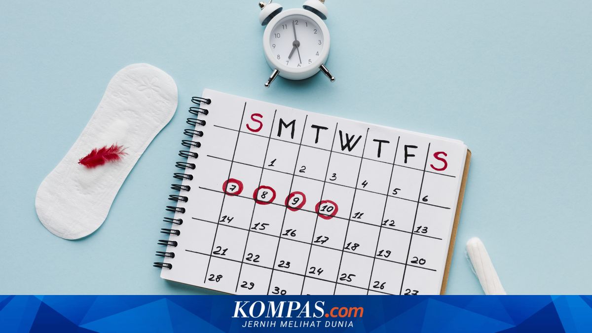 Memahami Fase Luteal dalam Siklus Menstruasi