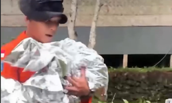 Risiko Membawa Bayi Berusia Satu Tahun Saat Mendaki Gunung: Lebih dari Sekadar Hipotermia