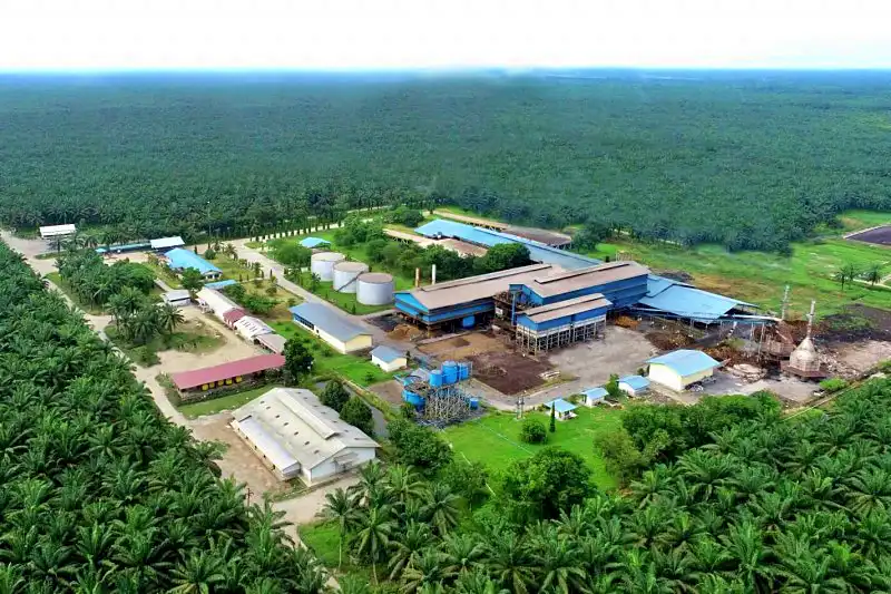 CSRA Melaporkan Pendapatan Mencapai Rp1,89 Triliun pada 2025, Kenaikan Drastis 77,1 Persen