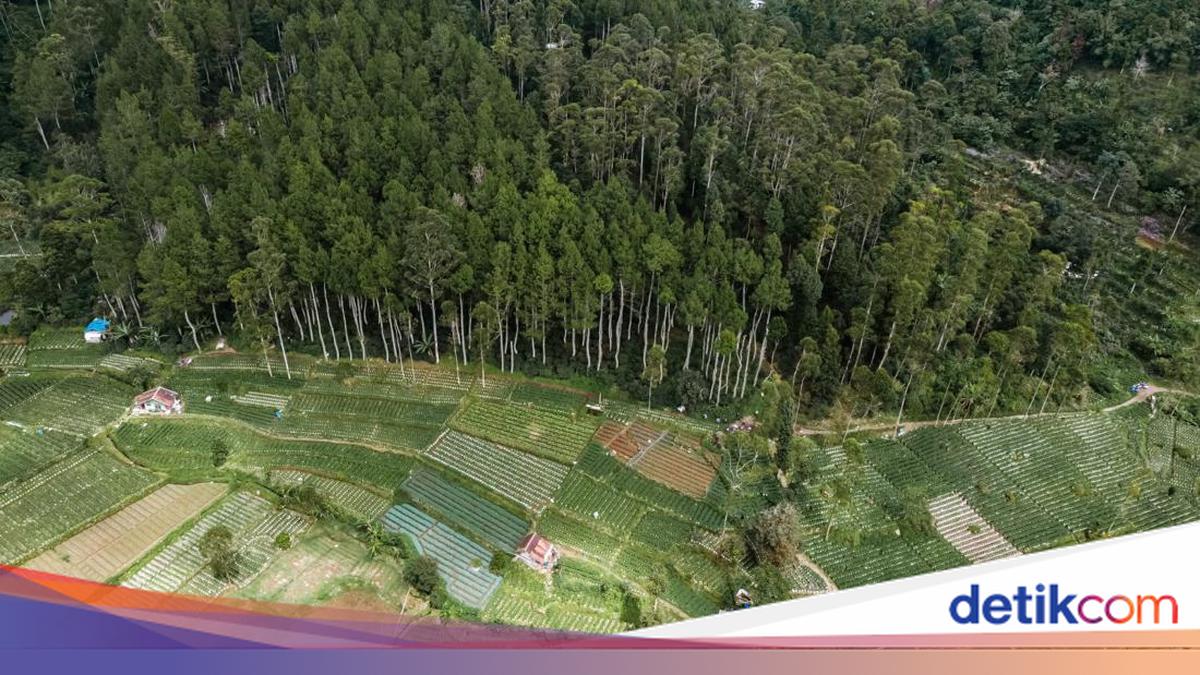 Foto: Rilis HaiBunda
