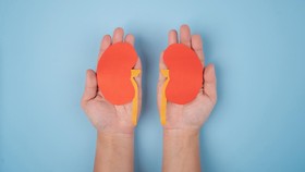 Peringatan Dokter: Pola Makan yang Dapat Merusak Ginjal di Usia Muda