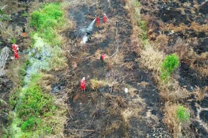 Penanganan Kebakaran Hutan dan Lahan di Kalimantan Masih Berlanjut, Luas Terdampak Mencapai 18.973 Hektare