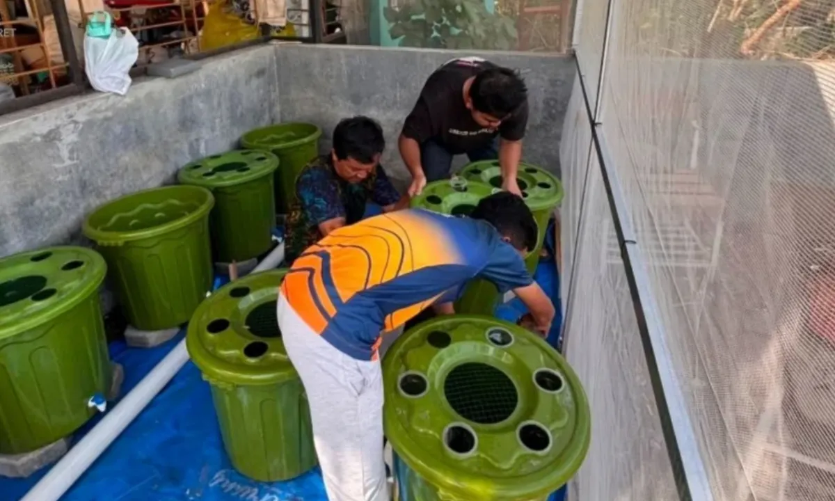 Inovasi Berkelanjutan di Kampus: Tim Eco Juris UNS Kembangkan Rumah Budidaya Maggot dan Lele dengan Pendanaan SIAP DARLING