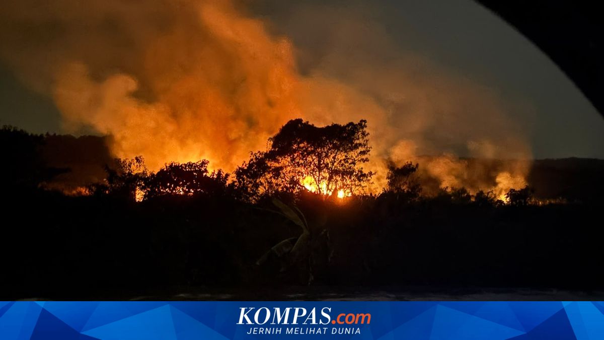 Dampak Kabut Asap Karhutla terhadap Kesehatan Ibu Hamil dan Janin