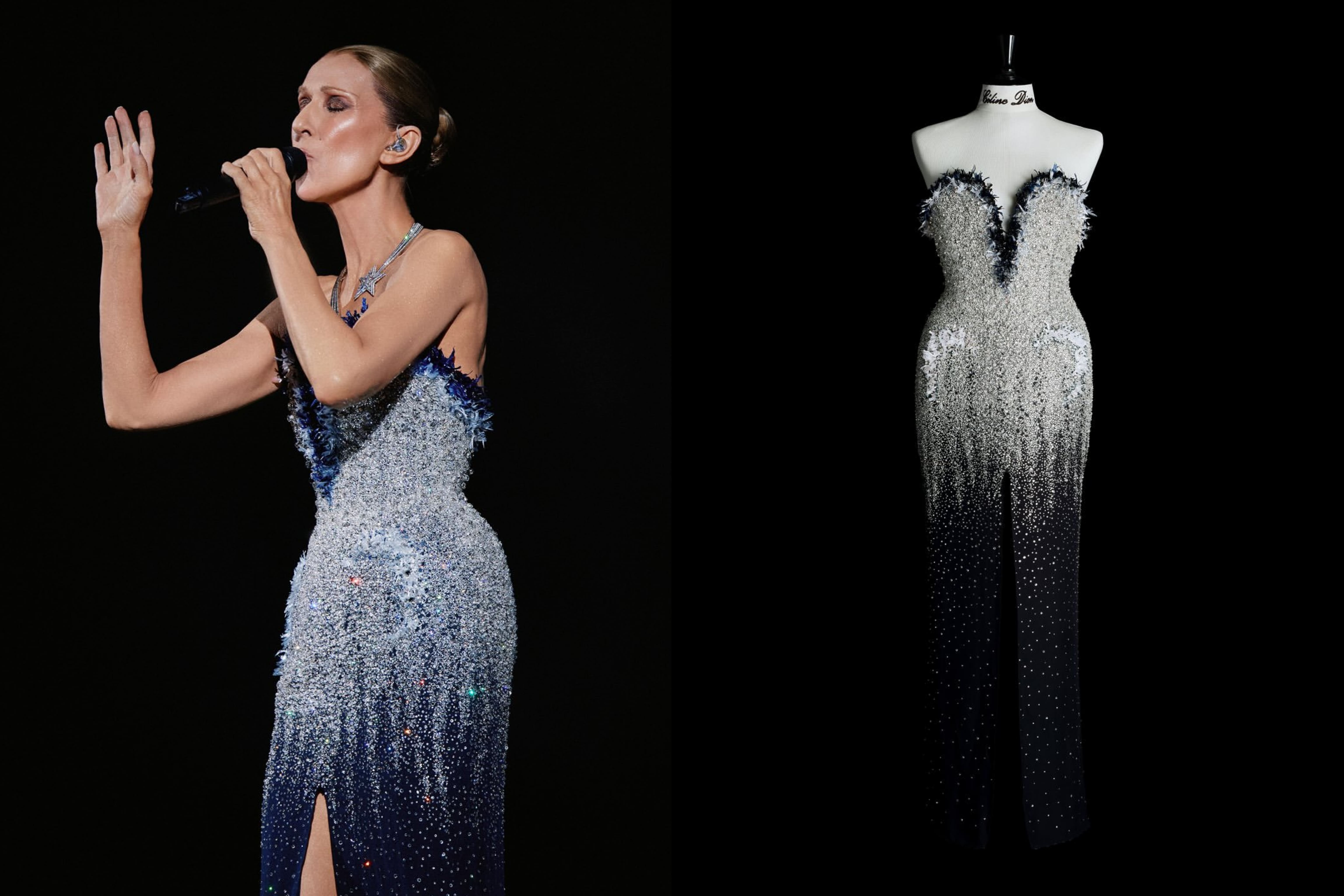 Celine Dion Memukau dengan Gaun Chanel dan Kalung Berlian di Konser Paris