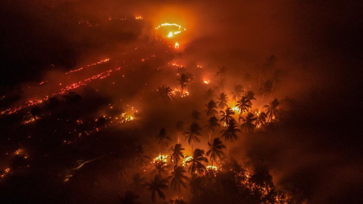 Tantangan Penanganan Kebakaran Hutan Terus Berlanjut, Koordinasi dan Penegakan Hukum Diperlukan
