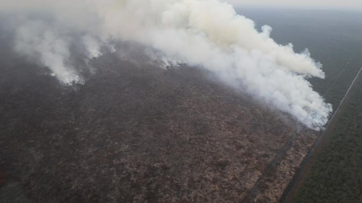 Upaya Pemerintah Mengatasi Kebakaran Hutan dan Ancaman Kabut Asap
