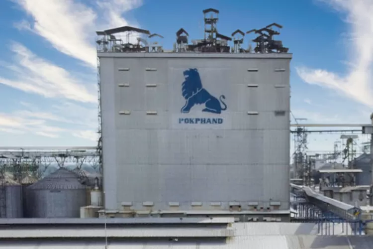 Kenaikan Laba CPIN Sebesar 52 Persen: Kontribusi dari DOC dan Broiler