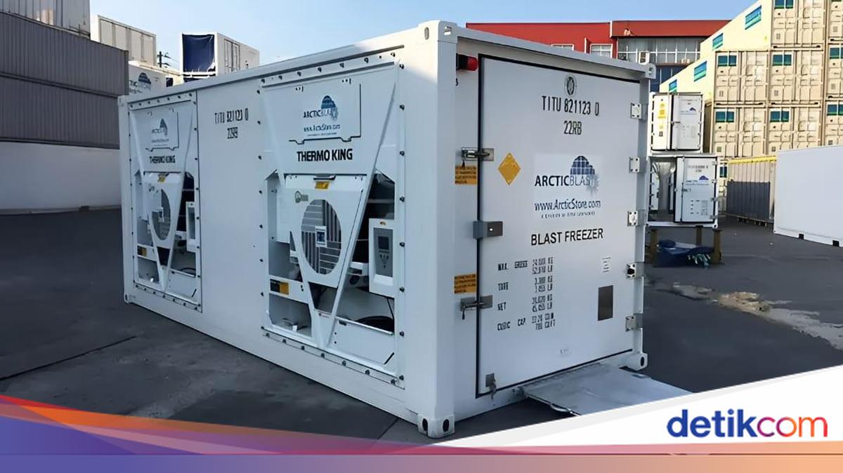 Memahami Teknologi Rantai Dingin dalam Sektor Perikanan