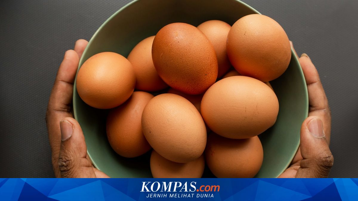 Konsumsi Telur Lima Butir Seminggu Dapat Kurangi Risiko Alzheimer