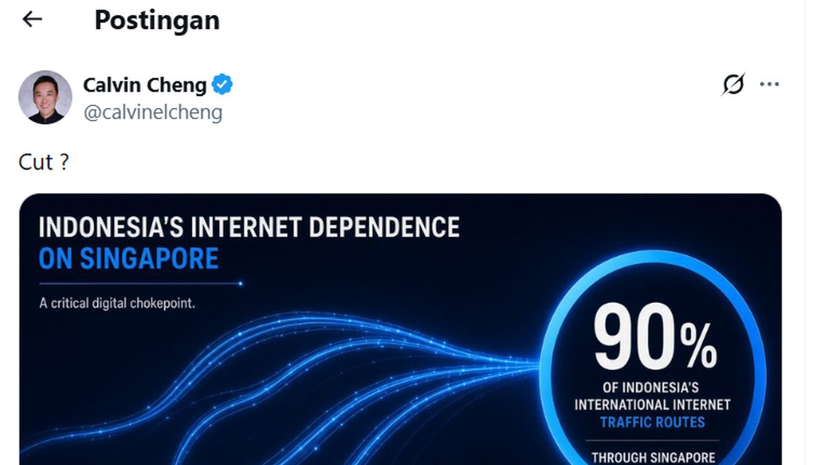 Politikus Singapura Calvin Cheng Ern Lee ngetweet soal infografis yang menunjukkan ketergantungan pembangunan internet Indonesia dengan jalur Singapura. Foto: X/calvincheng