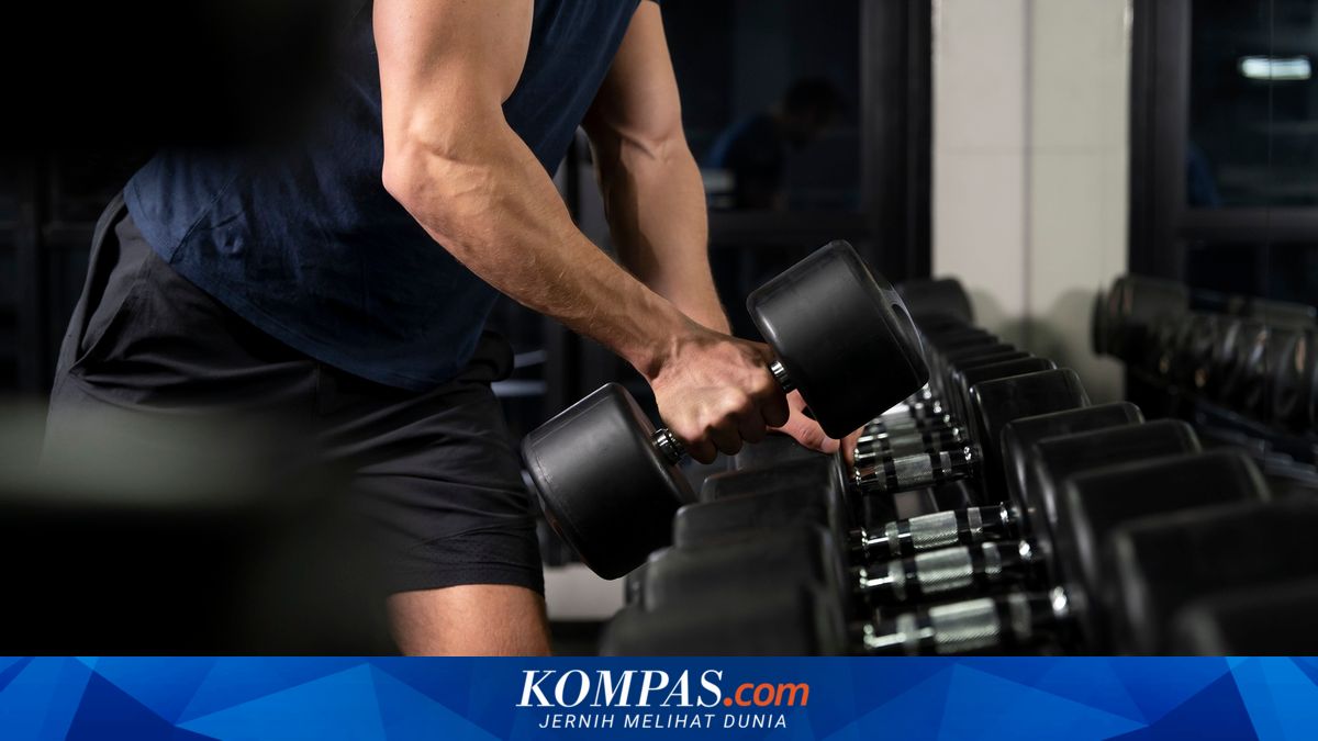 Dampak Latihan Angkat Beban Setiap Hari bagi Tubuh